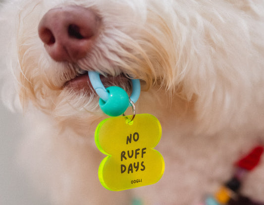 o'ring starter set (1 big + 1 small charm)