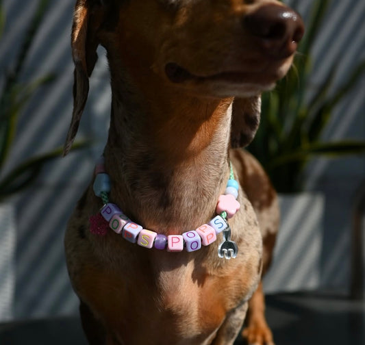 paracord starter set (lite - 2 small charms)