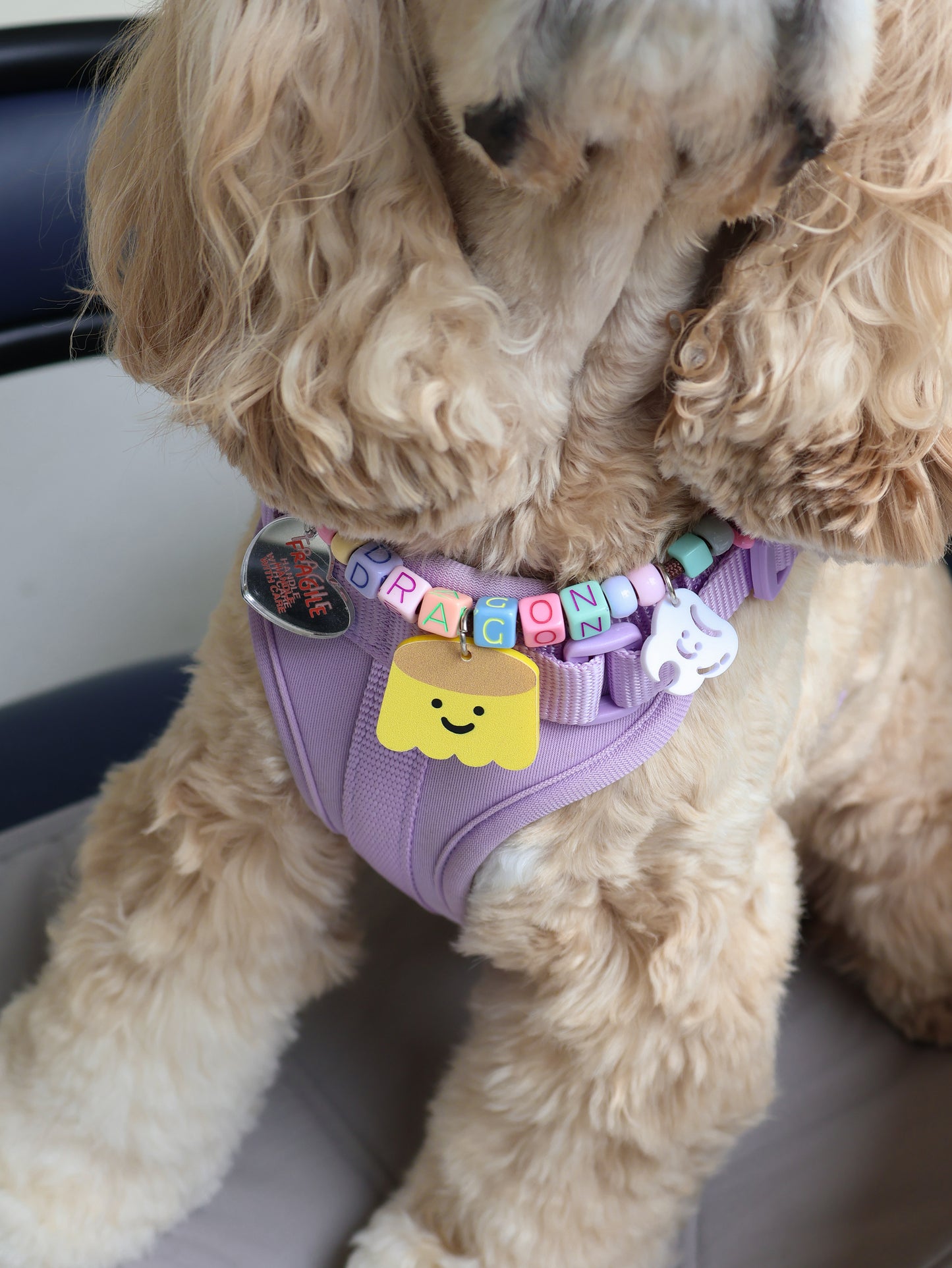 paracord starter set (OG - 1 big + 1 small charm)