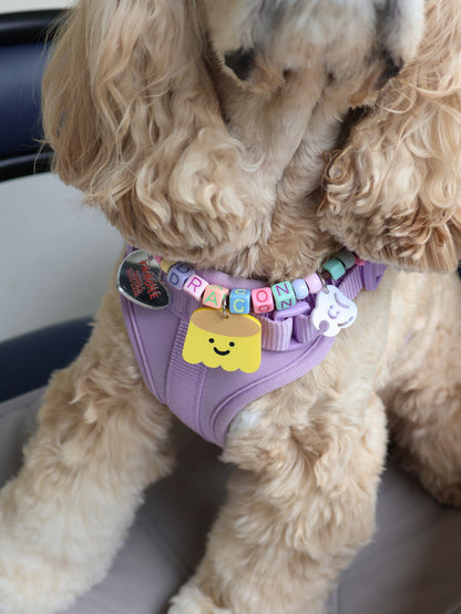 paracord starter set (OG - 1 big + 1 small charm)