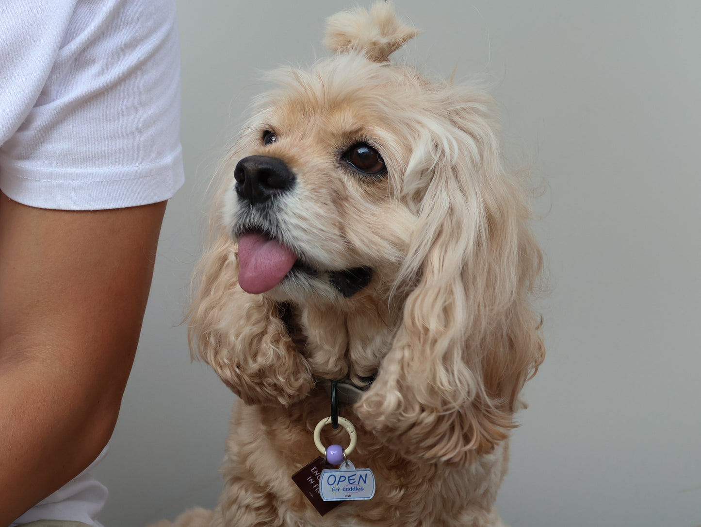 o'ring starter set (1 big + 1 small charm)