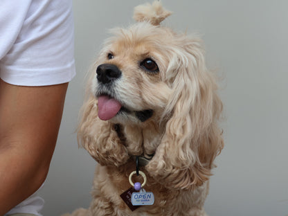 o'ring starter set (1 big + 1 small charm)