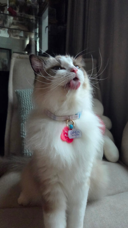 o'ring starter set (1 big + 1 small charm)