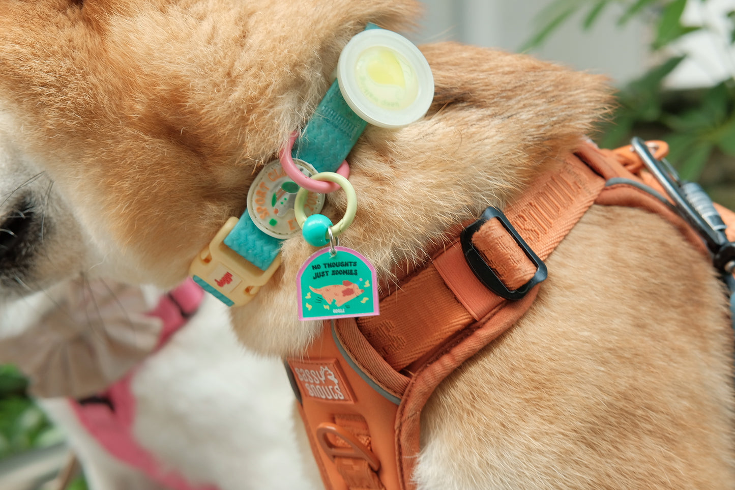 o'ring starter set (1 big + 1 small charm)