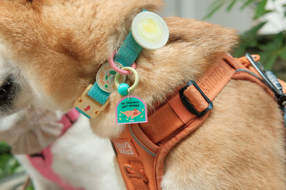 o'ring starter set (1 big + 1 small charm)