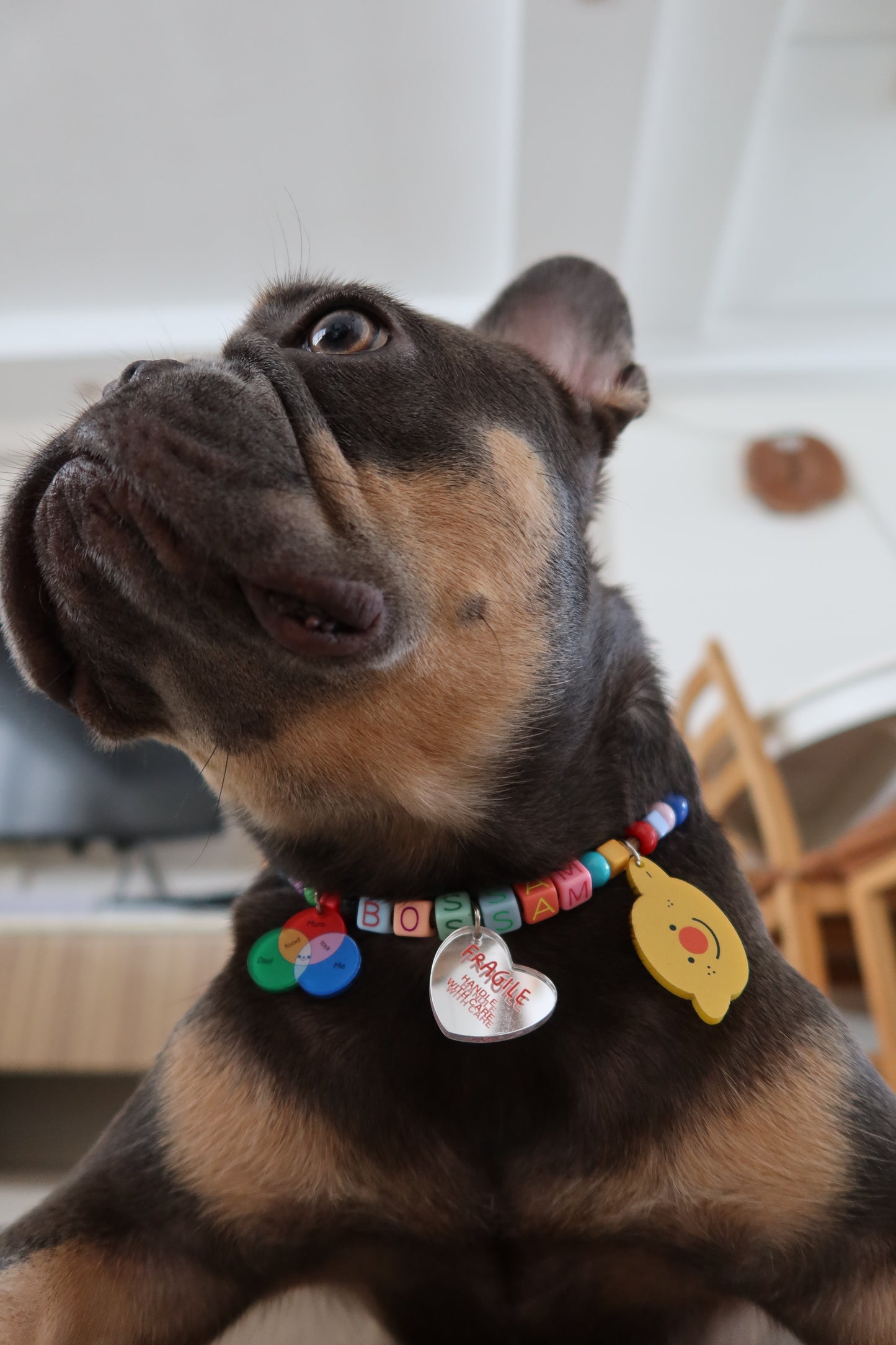 o'ring starter set (1 big + 1 small charm)