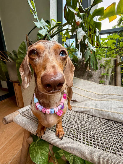 fresh woof