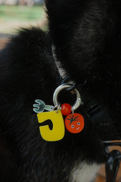 o'ring starter set (1 big + 1 small charm)