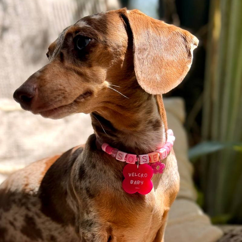 paracord starter set (OG - 1 big + 1 small charm)