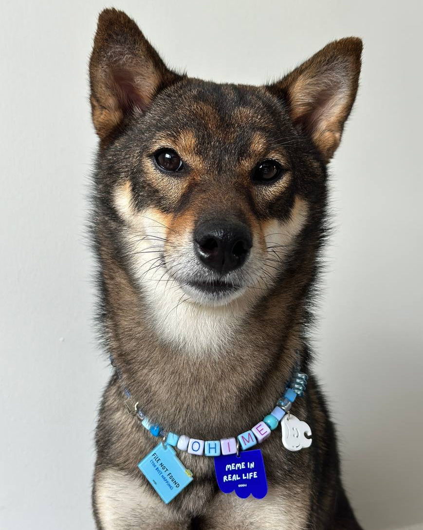 paracord starter set (OG - 1 big + 1 small charm)